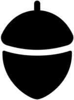 Nutgrafe